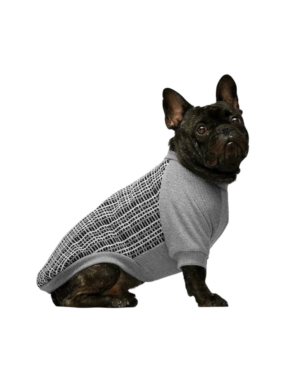 Gray Dog Clothing with Cozy Knitted Design